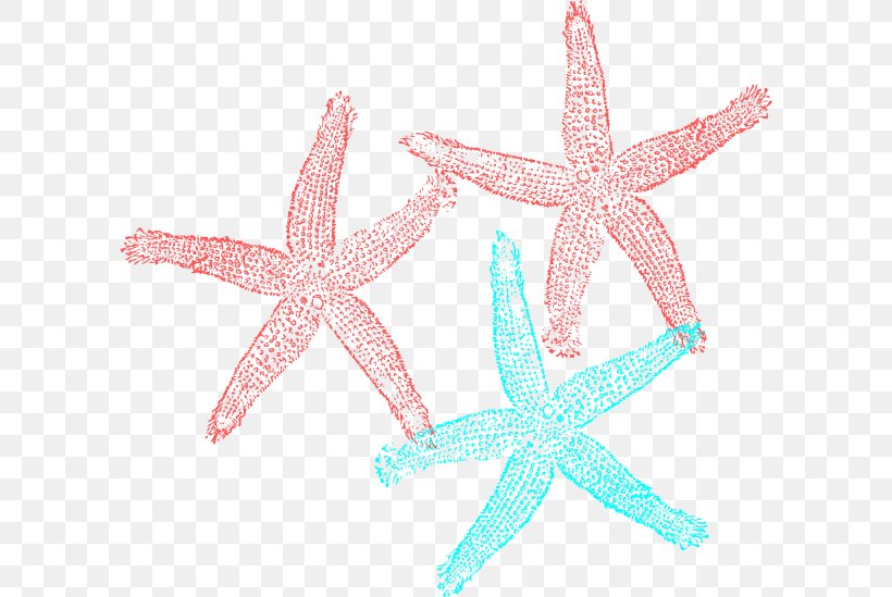 Coral Starfish Clip Art, PNG, 600x549px, Coral, Blue, Echinoderm, Green, Invertebrate Download Free