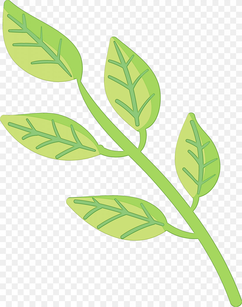 Leaf Plant Stem Flower Branch Plants, PNG, 2305x2925px, Watercolor, Biology, Branch, Flower, Leaf Download Free