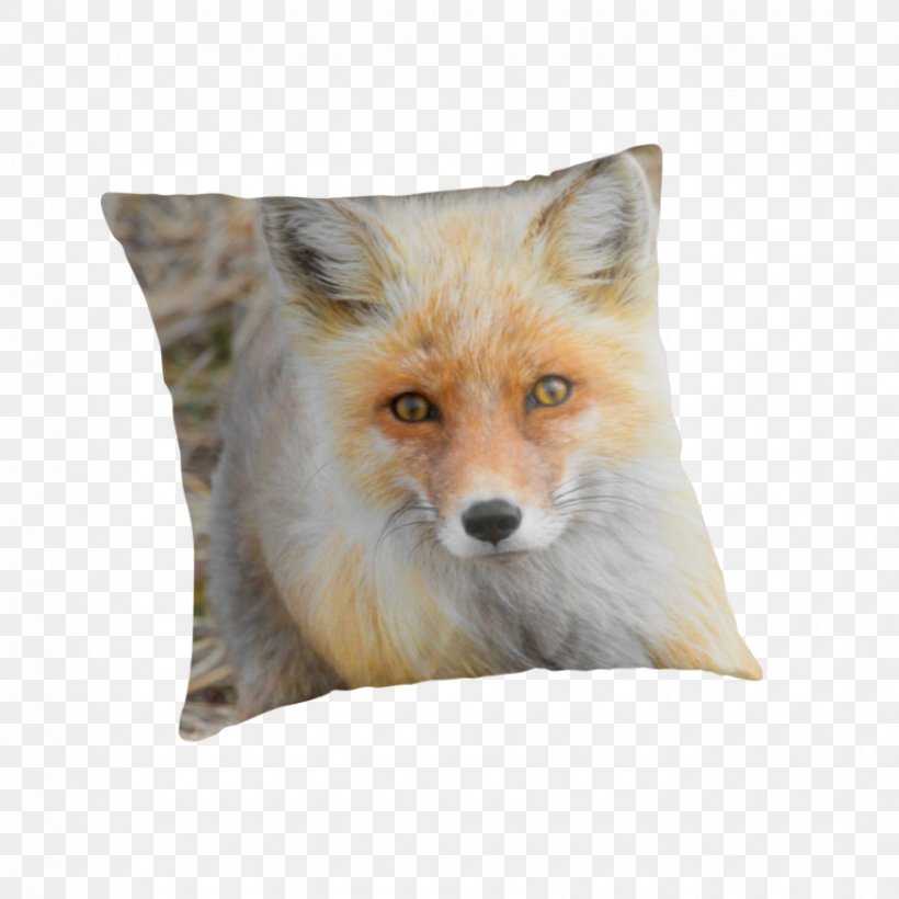 Red Fox Fur Snout Wildlife, PNG, 875x875px, Red Fox, Cushion, Dog Like Mammal, Fox, Fur Download Free
