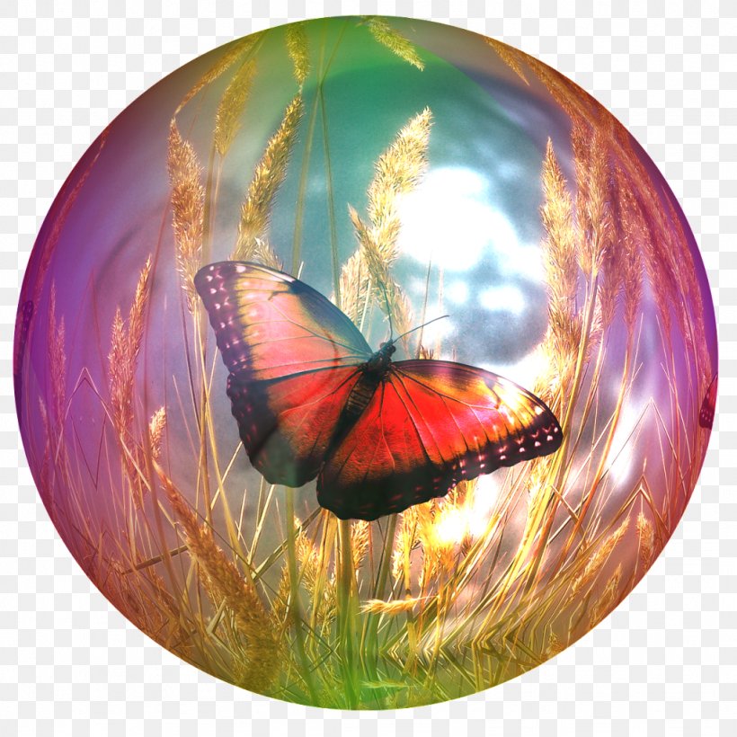 Butterfly Soap Bubble KGuru Quest Image, PNG, 1024x1024px, Butterfly, Brushfooted Butterfly, Bubble, Butterfly Effect, Grass Download Free