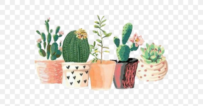 Cactaceae Art Succulent Plant Drawing Watercolor Painting, PNG, 640x428px, Cactaceae, Art, Artist, Cactus, Decorative Arts Download Free
