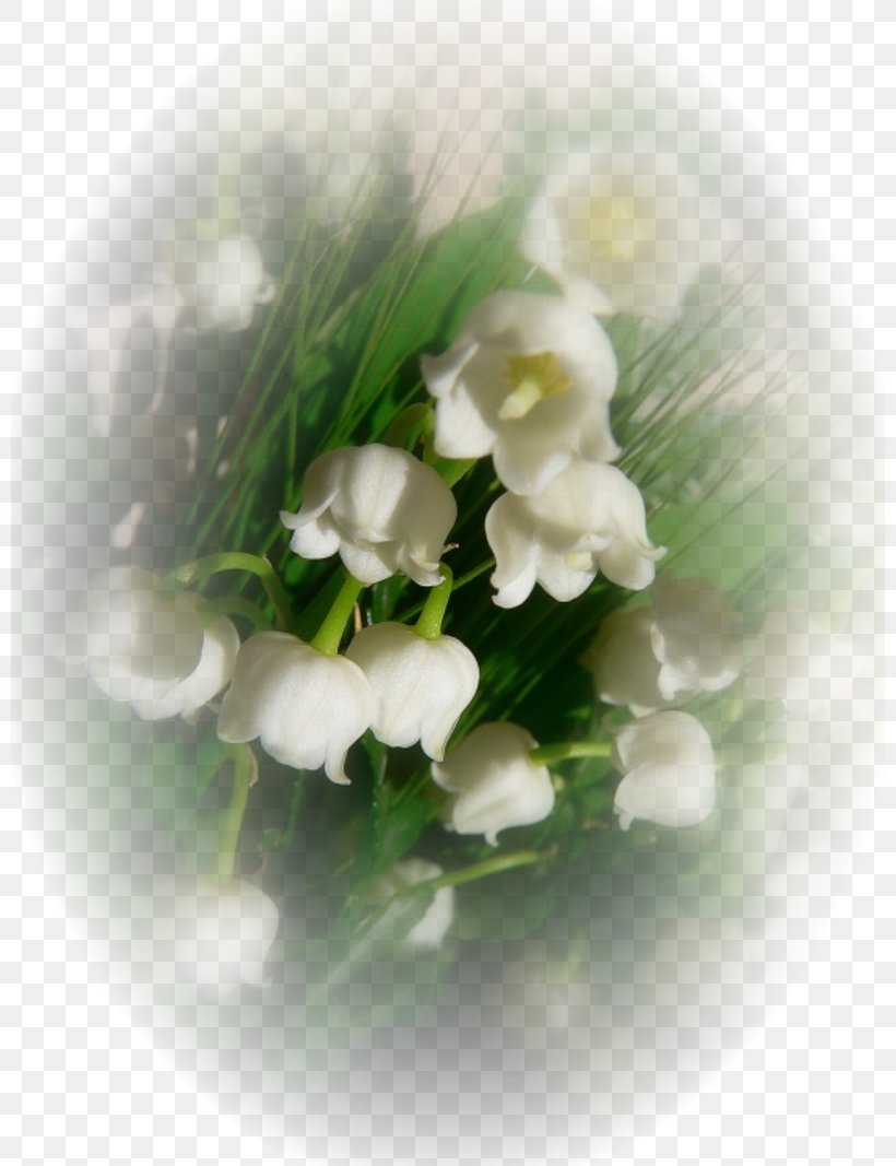 Floral Design .de Lily Of The Valley .es Afternoon, PNG, 800x1067px, Floral Design, Afternoon, Com, Cut Flowers, Daytime Download Free