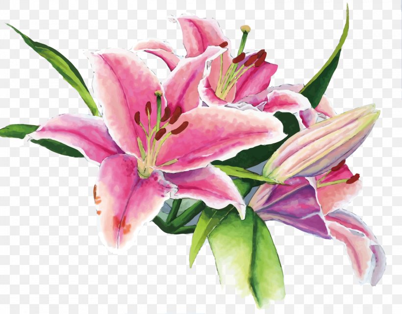 Floral Design Lilium Watercolor Painting, PNG, 1500x1172px, Floral Design, Art, Cut Flowers, Floristry, Flower Download Free