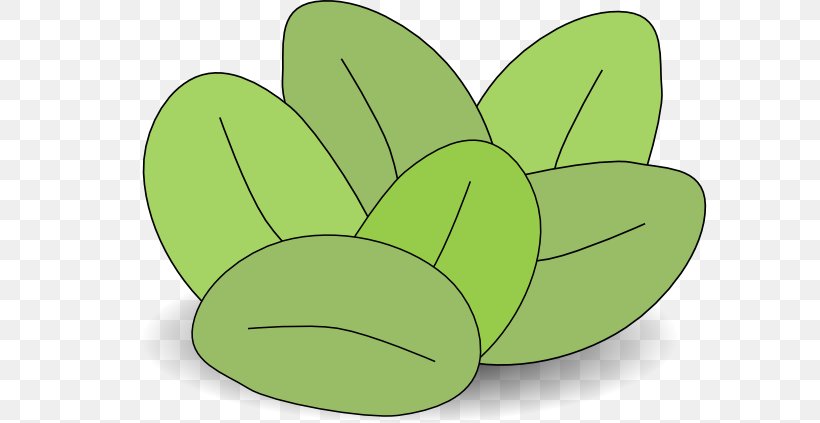 Flowering Plant Clip Art, PNG, 631x423px, Flowering Plant, Animal, Food, Fruit, Grass Download Free