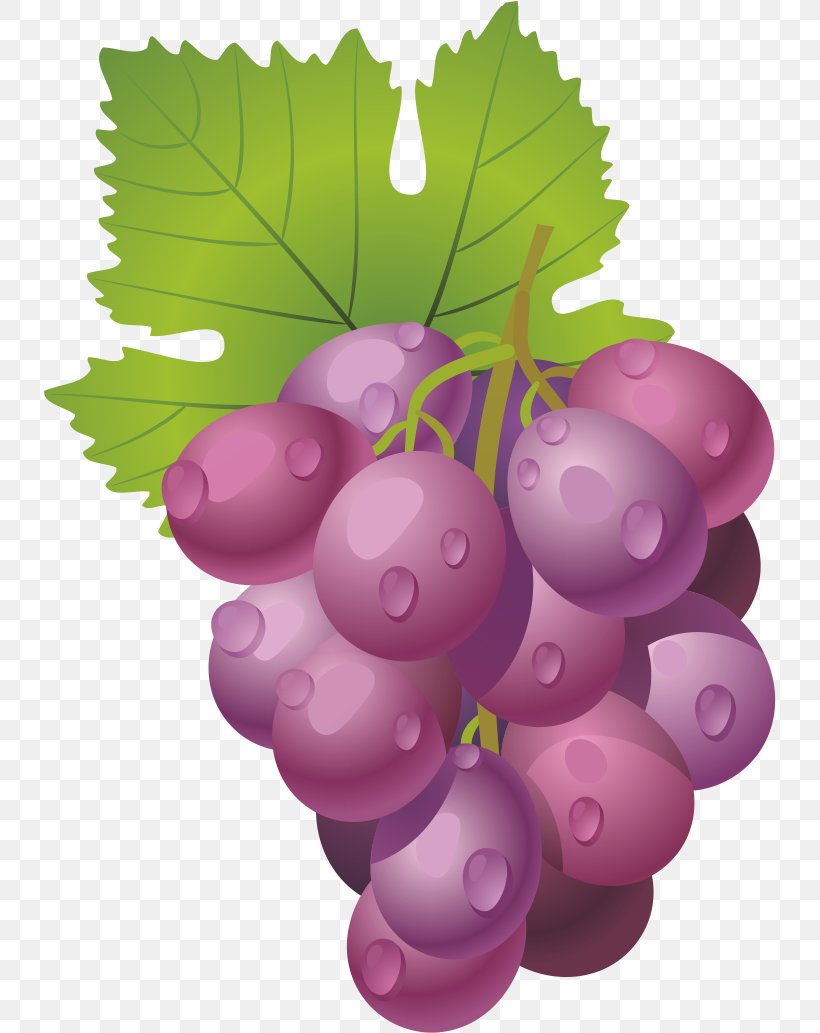 Grape Wine Fruit, PNG, 732x1033px, Grape, Auglis, Flowering Plant, Food, Fruit Download Free