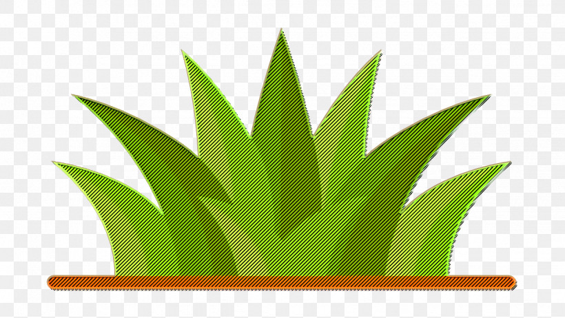 House Plants Icon Grass Icon, PNG, 1234x696px, 3d Computer Graphics, House Plants Icon, Computer Graphics, Gardening, Grass Icon Download Free