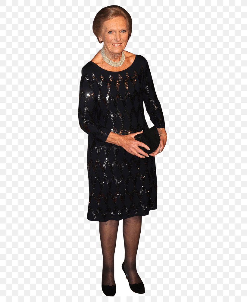 Mary Berry Mini Cutout Celebrity Television Show LIFE! Jinsei Ni Sasageru Conte, PNG, 340x1000px, Watercolor, Cartoon, Flower, Frame, Heart Download Free