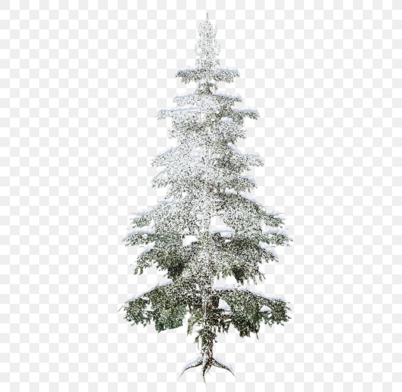 Spruce Forest Christmas Tree Fir, PNG, 468x800px, Spruce, Branch, Christmas Decoration, Christmas Ornament, Christmas Tree Download Free