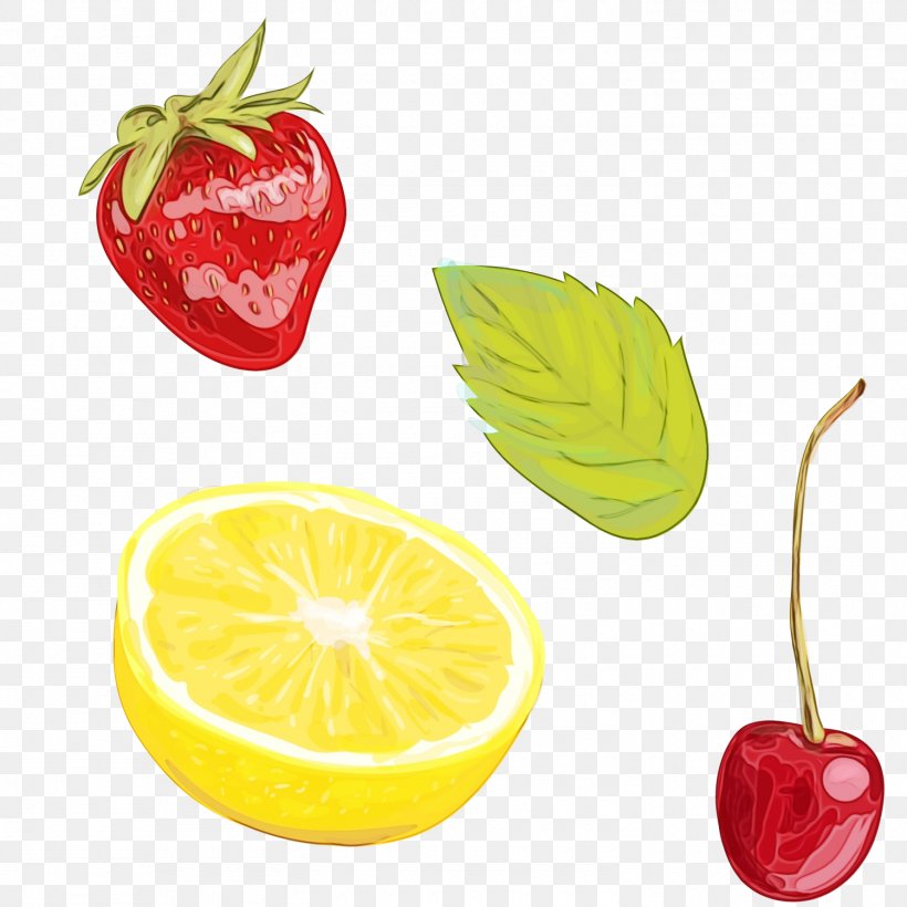 Watercolor Natural, PNG, 1500x1500px, Watercolor, Accessory Fruit, Citrus, Diet, Diet Food Download Free