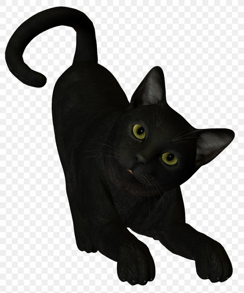 Black Cat Boszorkxe1ny, PNG, 991x1191px, Black Cat, Black, Black And White, Bombay, Burmese Download Free