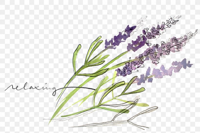 English Lavender Essential Oil Watercolor Painting Herb, PNG, 1000x667px, Watercolor, Cartoon, Flower, Frame, Heart Download Free