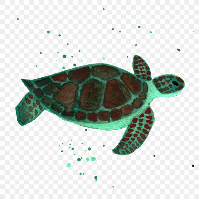 Sea Turtle Reptile Animal, PNG, 3000x3000px, Turtle, Animal, Aquatic Animal, Deep Sea Creature, Emydidae Download Free