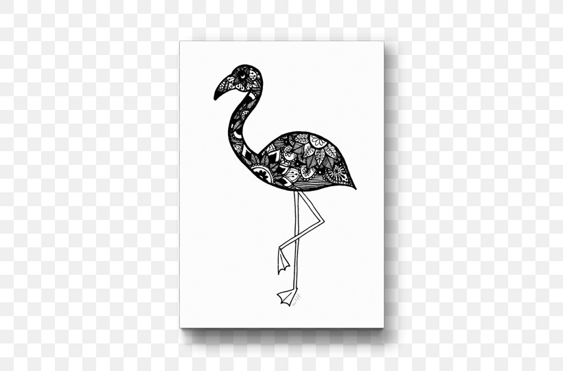 Bird Drawing Beak Fauna /m/02csf, PNG, 500x540px, Bird, Beak, Drawing, Fauna, Feather Download Free