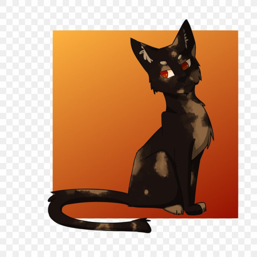 Black Cat Kitten Whiskers Paw, PNG, 894x894px, Black Cat, Carnivoran, Cat, Cat Like Mammal, Kitten Download Free