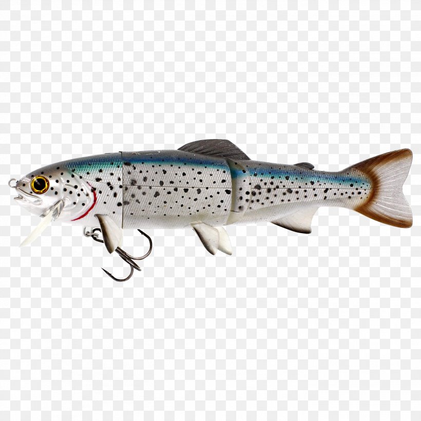 Fishing Baits & Lures Northern Pike Trout Salmonids, PNG, 2803x2803px, Fishing Baits Lures, Angling, Atlantic Salmon, Bait, Bony Fish Download Free