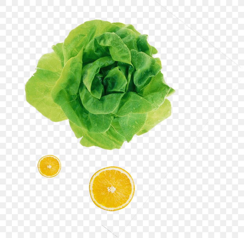 Leaf Vegetable Fruit Salad Ingredient, PNG, 800x800px, Vegetable, Auglis, Chinese Cabbage, Food, Fruit Download Free