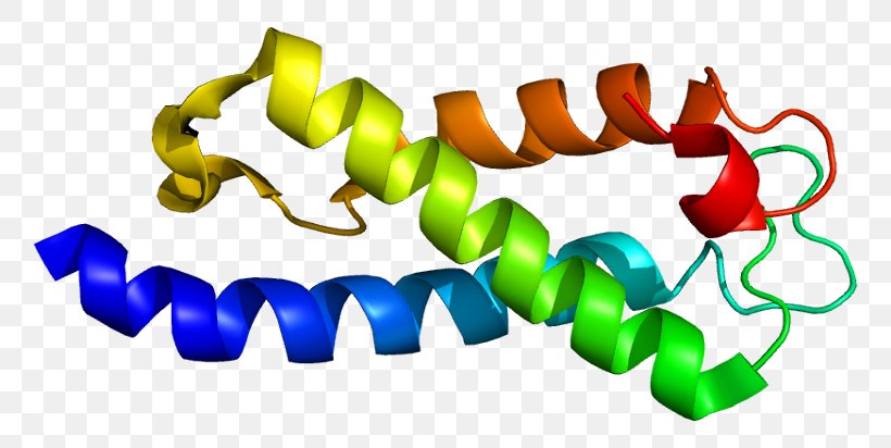 SETD2 Clear Cell Renal Cell Carcinoma Tumor Suppressor Gene Histone Methyltransferase, PNG, 808x412px, Tumor Suppressor Gene, Cancer, Cell, Chromatin, Clear Cell Carcinoma Download Free