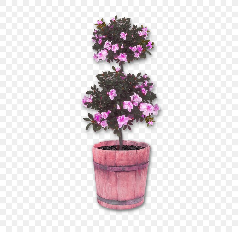 Azalea Bonsai Icon, PNG, 407x800px, Azalea, Bonsai, Flower, Flowering Plant, Flowerpot Download Free