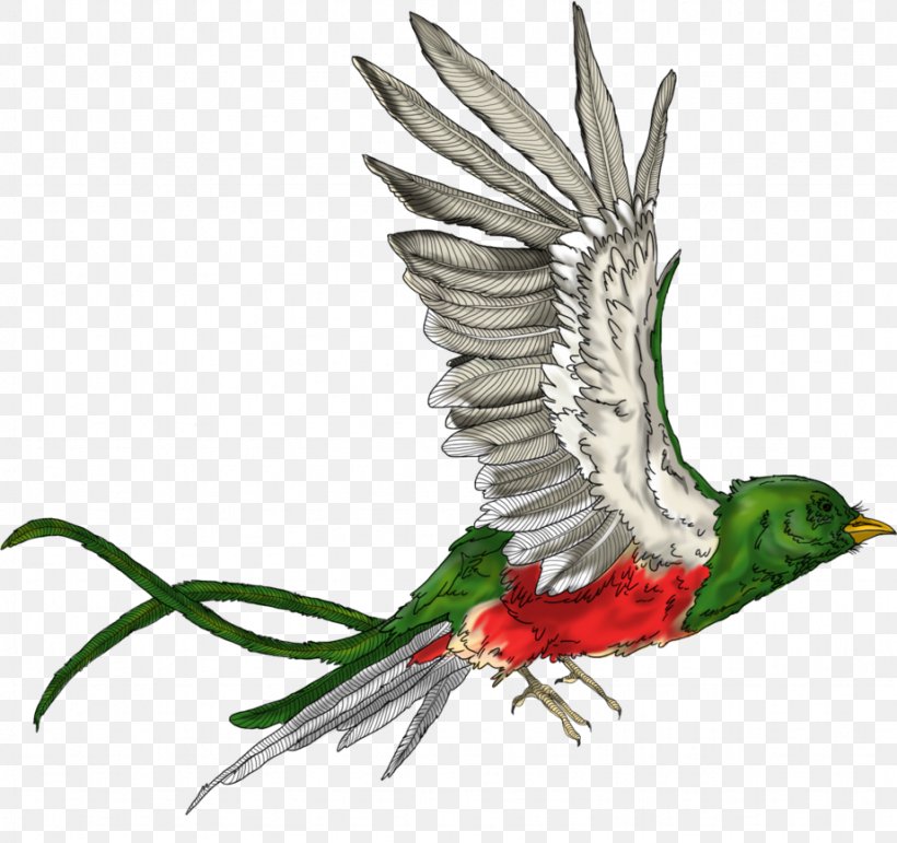 Beak Fauna Feather, PNG, 922x867px, Beak, Bird, Fauna, Feather, Organism Download Free