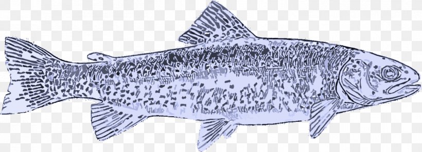 Fish Fish Trout Salmon-like Fish Salmon, PNG, 1467x533px, Fish, Bonyfish, Fish Products, Rayfinned Fish, Salmon Download Free
