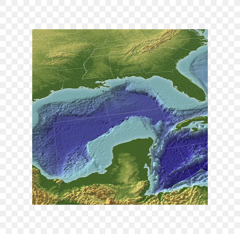 Gulf Of Mexico Persian Gulf Map Dauphin Island Sea Lab, PNG, 800x800px, Gulf Of Mexico, Bathymetric Chart, Bathymetry, Coast, Dauphin Island Sea Lab Download Free