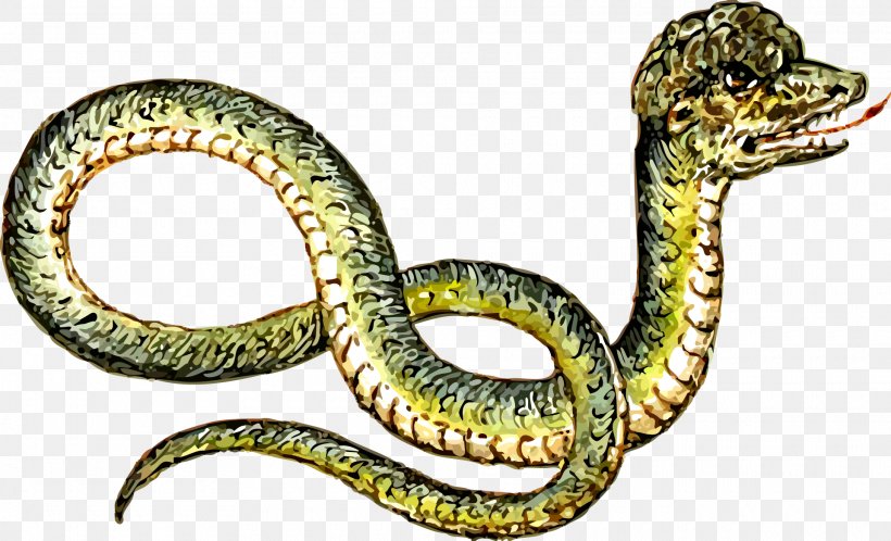 Snake Reptile Clip Art, PNG, 1920x1167px, Snake, Boa Constrictor, Boas, Colubridae, Common European Viper Download Free
