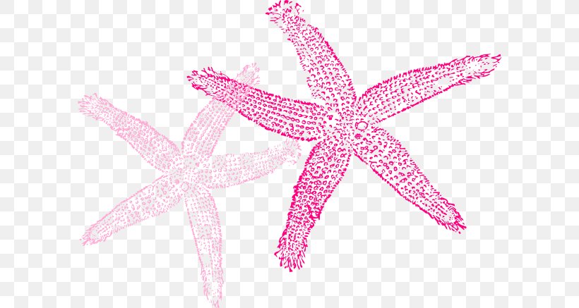 Starfish Color Clip Art, PNG, 600x437px, Starfish, Animal, Blue, Color, Drawing Download Free