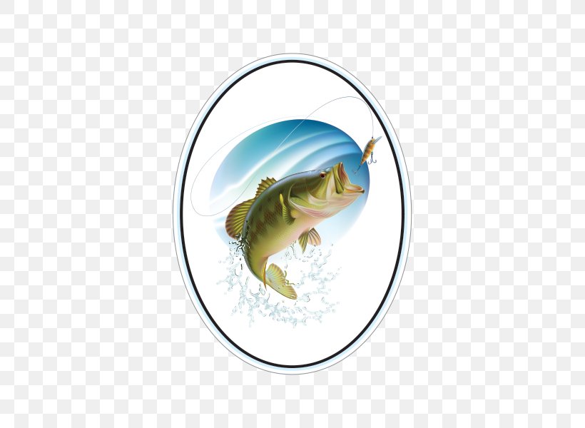 Bass Fishing Largemouth Bass Clip Art, PNG, 600x600px, Bass Fishing, Amphibian, Bass, Fish, Fishing Download Free