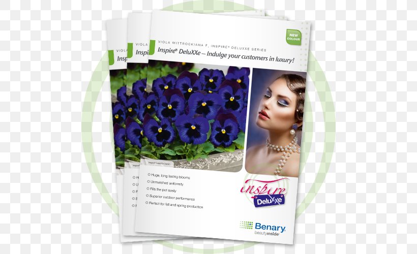 Formula 1 Wax Begonia Advertising Hair Coloring, PNG, 500x500px, Formula 1, Advertising, Bed Head, Begonia, Brand Download Free