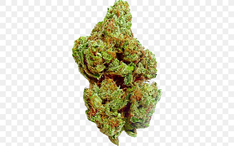 Medical Cannabis Kush Tetrahydrocannabinol Durban Poison, PNG, 512x512px, Cannabis, Cannabidiol, Cannabis Sativa, Cannabis Shop, Durban Poison Download Free