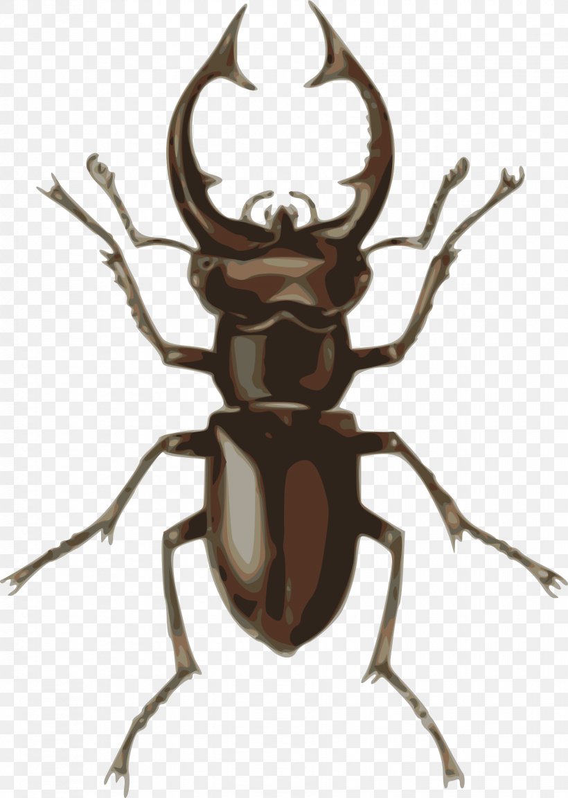 Stag Beetle Deer Clip Art, PNG, 1708x2400px, Beetle, Antler, Arthropod, Deer, Drawing Download Free
