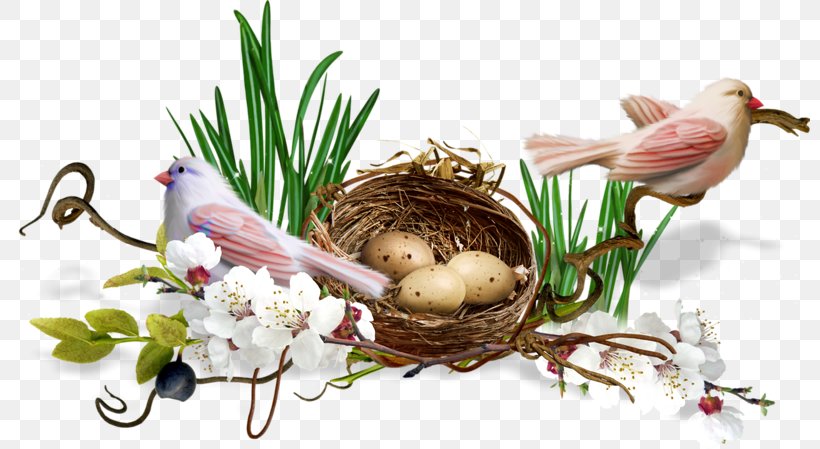 Bird Nest Clip Art, PNG, 800x449px, Bird, Bird Nest, Blog, Easter, Easter Egg Download Free