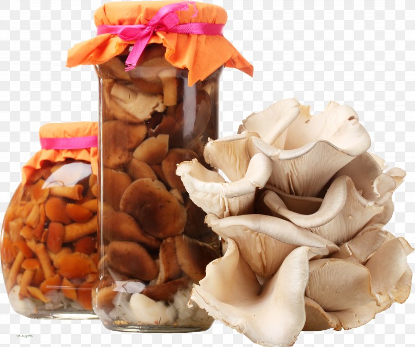 Edible Mushroom Snow Fungus Food, PNG, 5362x4487px, Mushroom, Armillaria Tabescens, Chanterelle, Digestive Enzyme, Dish Download Free