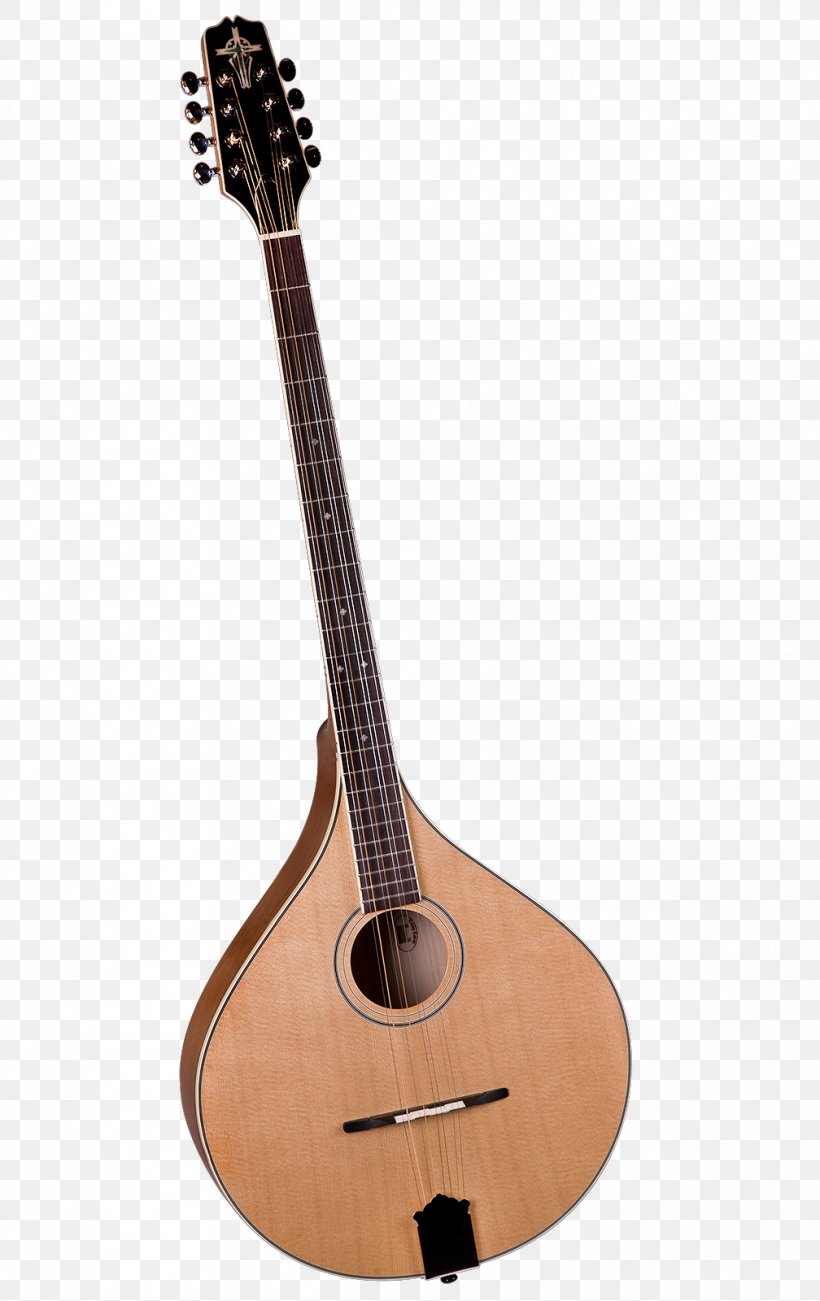 Mandolin Acoustic Guitar Banjo Guitar Bass Guitar Bouzouki, PNG, 1008x1600px, Mandolin, Acoustic Guitar, Baglamas, Banjo Guitar, Bass Guitar Download Free