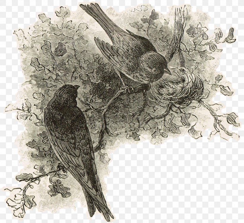 Bird Nest Drawing Art, PNG, 1600x1468px, Watercolor, Cartoon, Flower, Frame, Heart Download Free