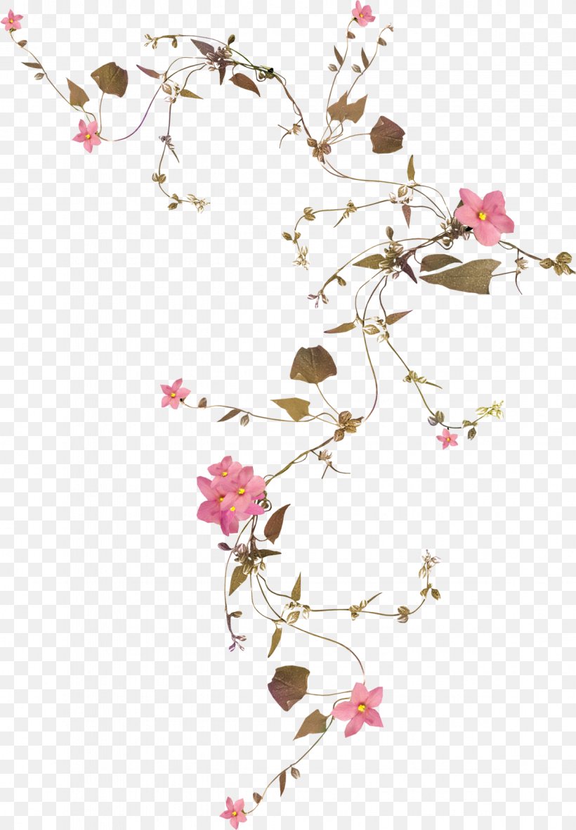 Flower Vine Rose Drawing, PNG, 1182x1701px, Flower, Blossom, Branch, Cherry Blossom, Chinarose Download Free