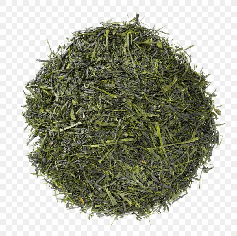Scallion Herb Onion Gyokuro Tea, PNG, 1600x1600px, Scallion, Allium, Assam Tea, Bai Mudan, Bancha Download Free