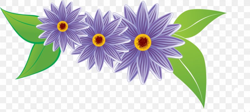 Vector Graphics Clip Art Flower Image, PNG, 1137x513px, Flower, Aster, Daisy Family, Flora, Floral Design Download Free