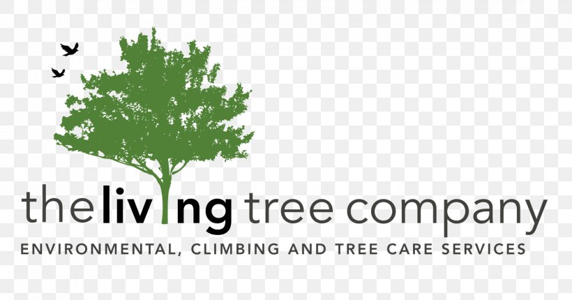Arbor Pro Tree Management Co LLC Afacere Landscape Company, PNG, 1432x752px, Arbor Pro Tree Management Co Llc, Afacere, Branch, Brand, Business Download Free