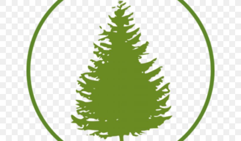 Christmas Tree Background, PNG, 640x480px, Christmas Day, American Larch, Cedar, Christmas Decoration, Christmas Tree Download Free