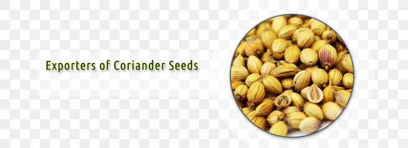 Chutney Coriander Pesto Pickled Cucumber Pistachio, PNG, 960x350px, Chutney, Bbc Good Food, Commodity, Coriander, Coriander Seed Download Free