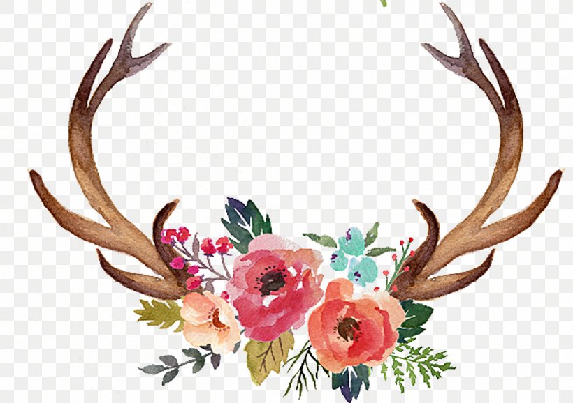 Deer Antler Flower Moose Clip Art, PNG, 1145x808px, Deer, Antler, Art, Craft, Flora Download Free