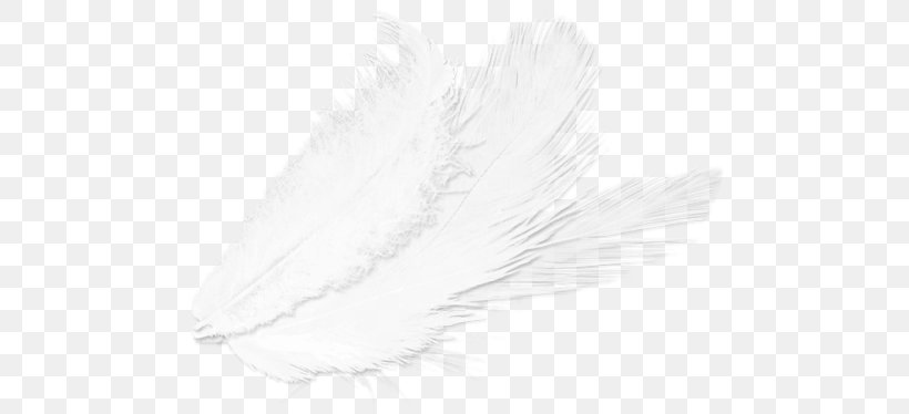 Feather White Drawing /m/02csf, PNG, 500x374px, Feather, Bird, Black And White, Drawing, Quill Download Free