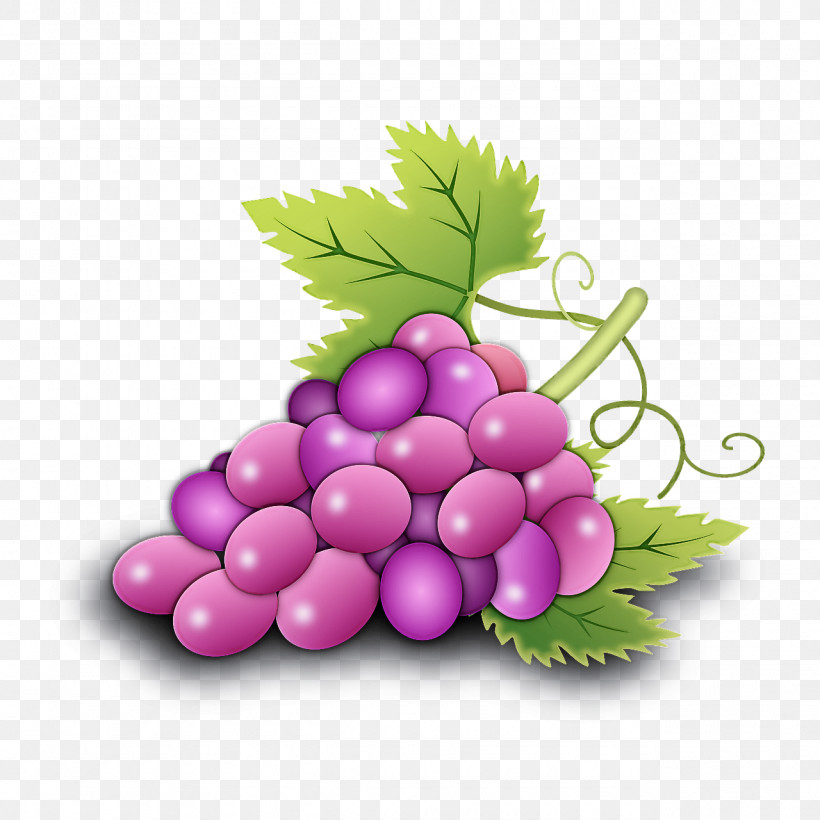 Grape Seedless Fruit Grapevine Family Fruit Plant, PNG, 1280x1280px, Grape, Food, Fruit, Grape Leaves, Grapevine Family Download Free