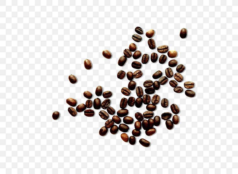 White Coffee Cafe Coffee Bean, PNG, 600x600px, Coffee, Bean, Brown, Cafe, Caryopsis Download Free