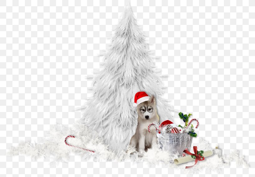 Christmas Tree Christmas Day Clip Art Adobe Photoshop, PNG, 800x569px, Christmas Tree, Adobe Lightroom, Art, Christmas, Christmas Day Download Free