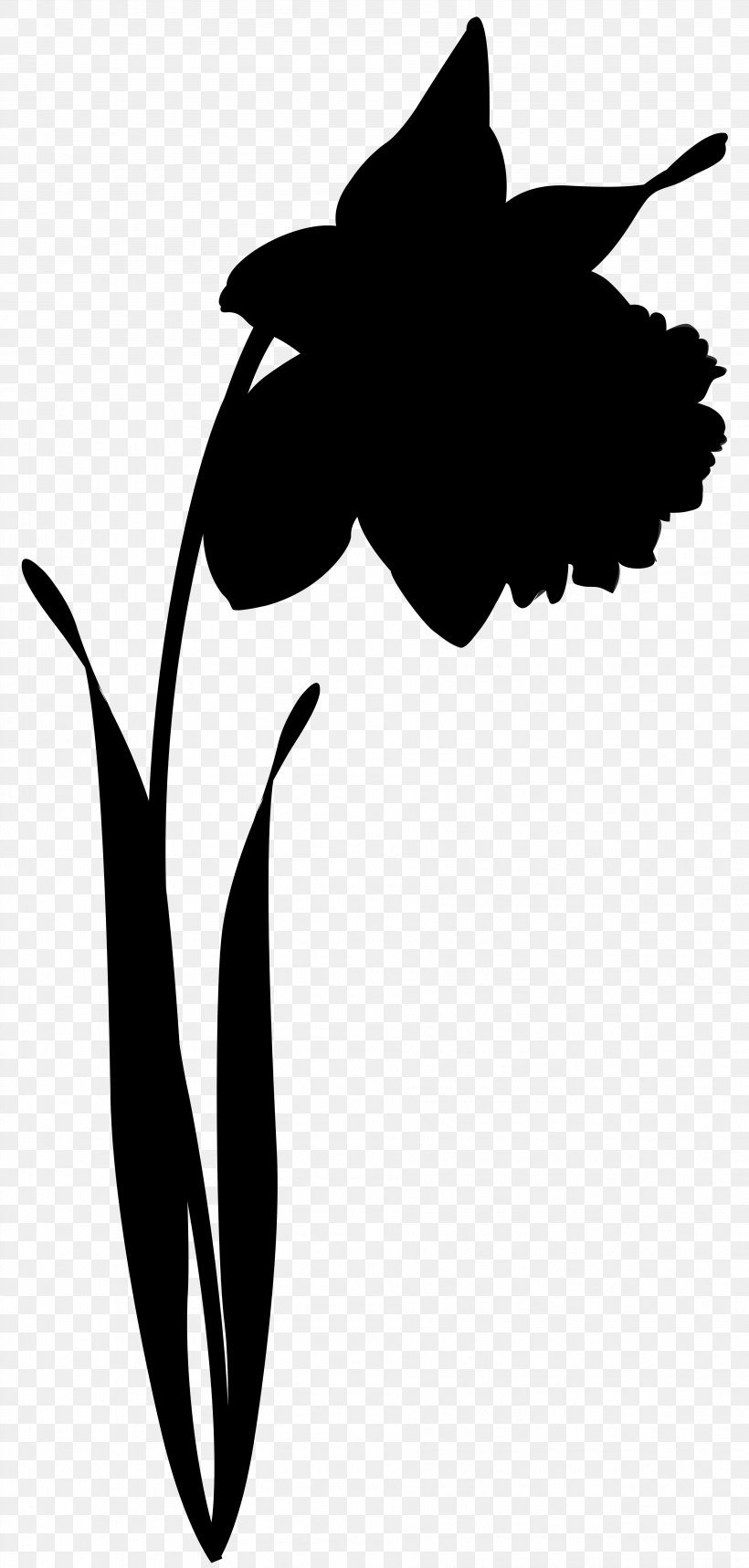Clip Art Leaf Flower Silhouette Line, PNG, 3817x8000px, Leaf, Amaryllis Family, Beak, Blackandwhite, Botany Download Free