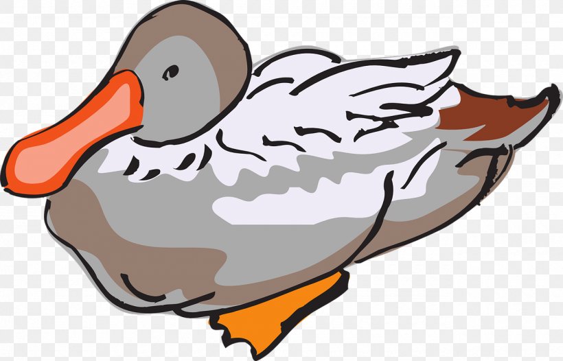 Domestic Duck Bird Goose Clip Art, PNG, 1280x822px, Duck, Artwork, Beak, Bird, Domestic Duck Download Free
