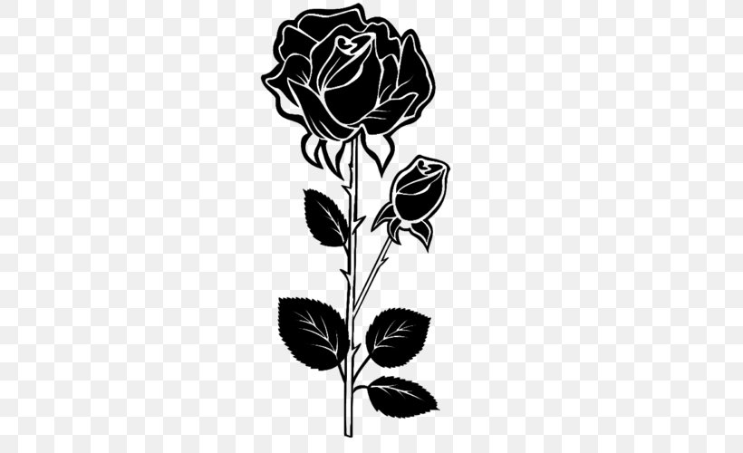 Black Rose Drawing, PNG, 500x500px, Rose, Black, Black Rose, Blackandwhite, Blue Rose Download Free