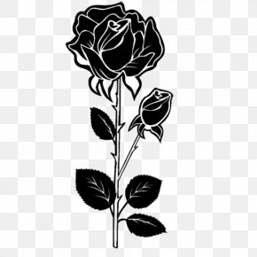 Black Rose Drawing Clip Art, PNG, 800x800px, Rose, Art, Artwork, Black ...